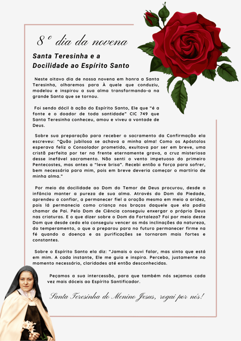 novena 8